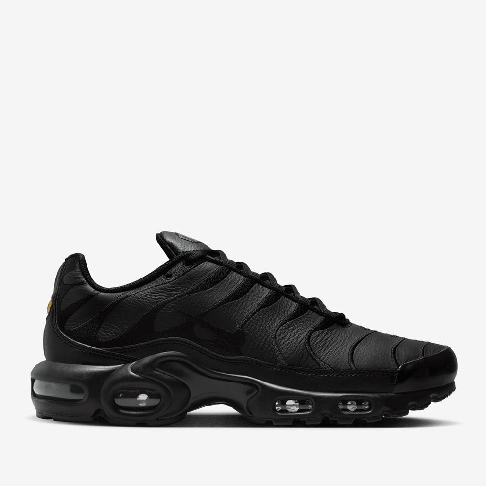 Мужские кроссовки Nike Air Max Plus Leather - AJ2029-001 в